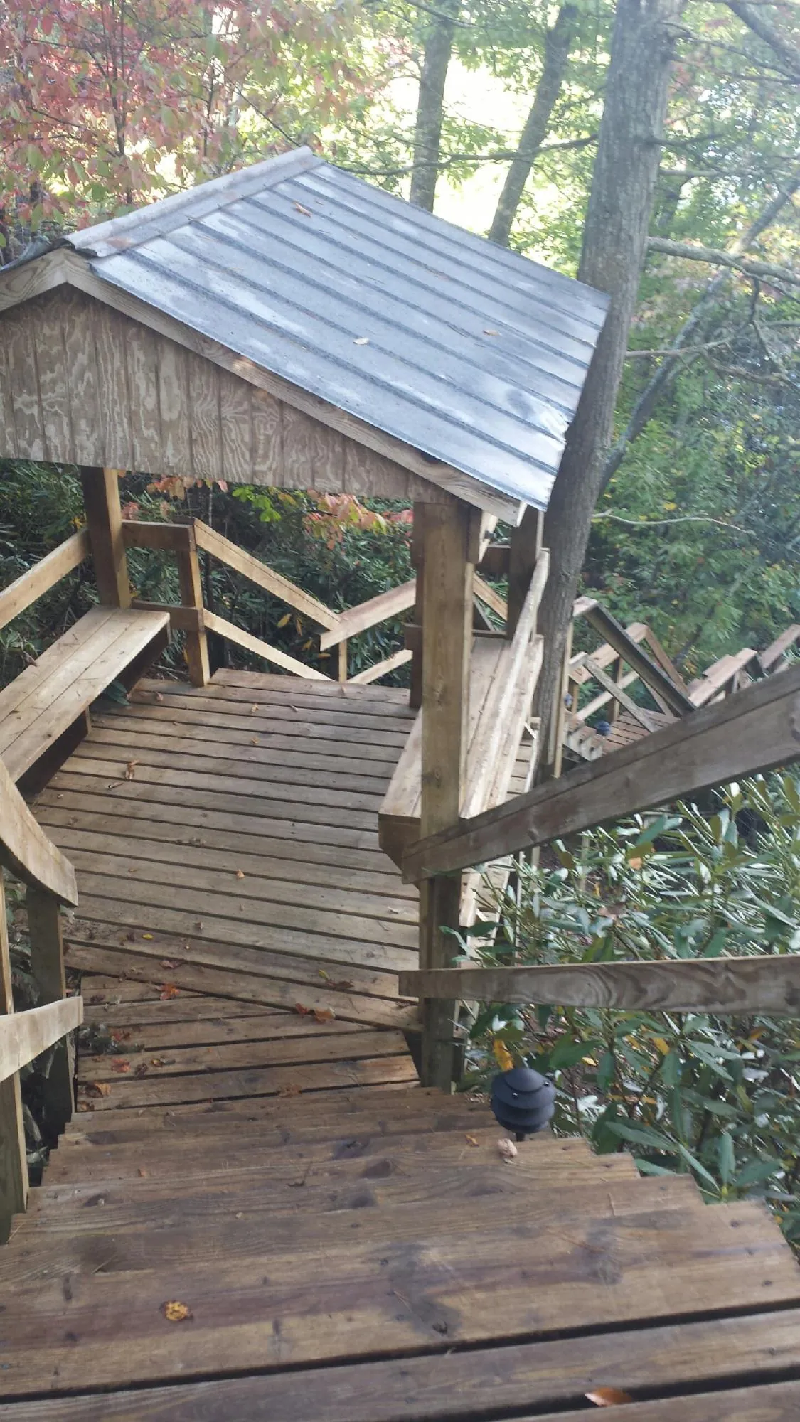 Metal roofed shelter over wooden steps on a wooded walkway — Skylight Repair & Installation work by our crew in Newman Lake