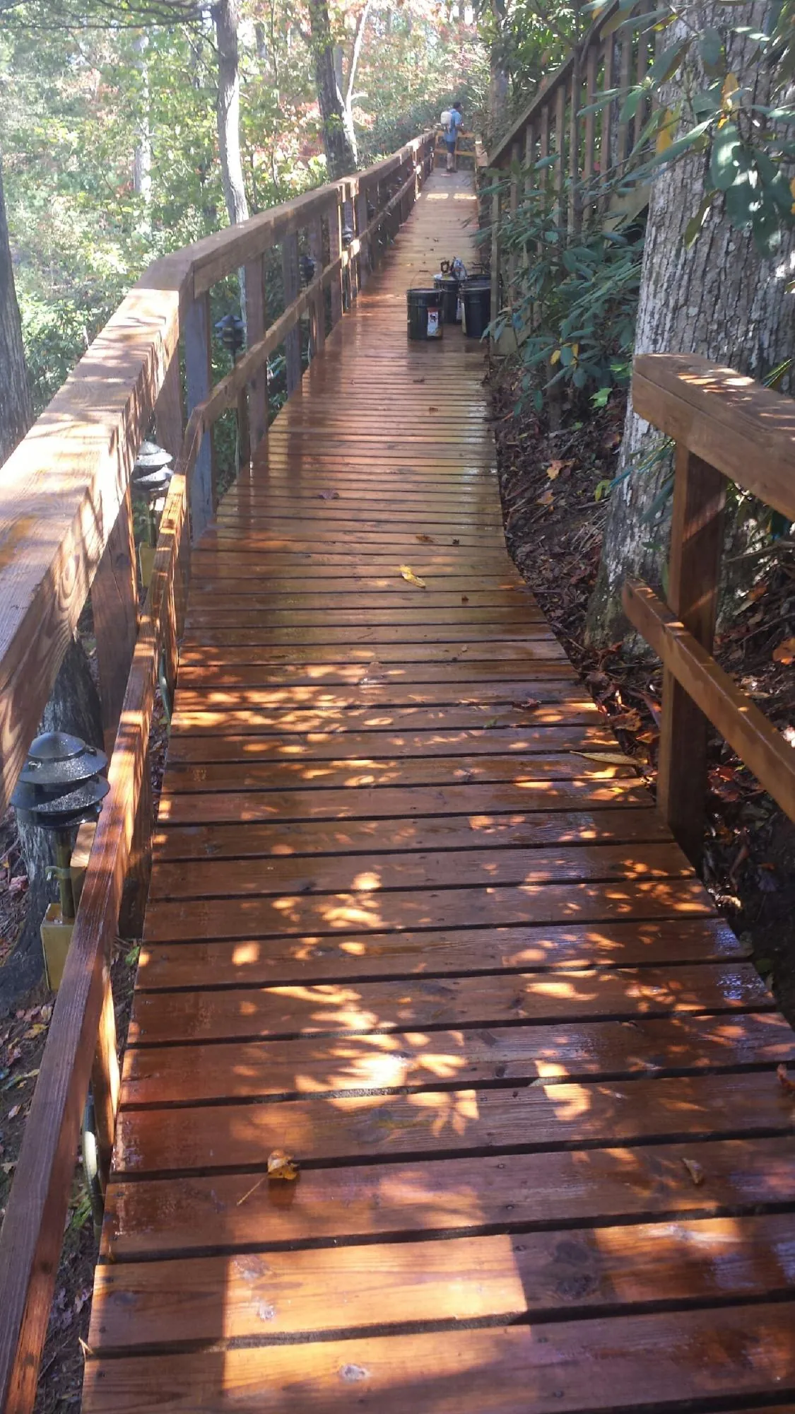 Freshly stained wood walkway winding through the woods in Newman Lake